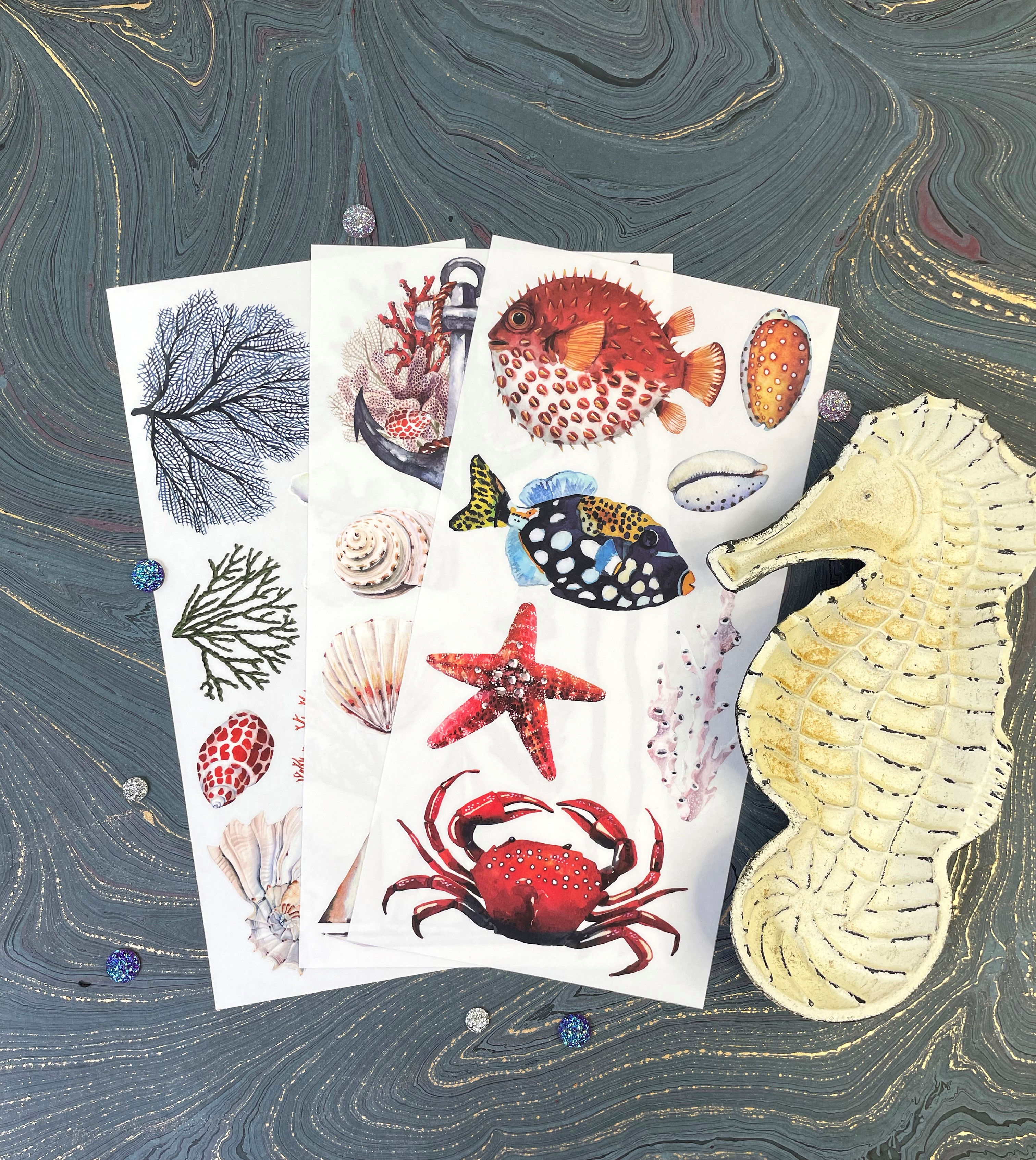 Transfer Amazing Sea Life 