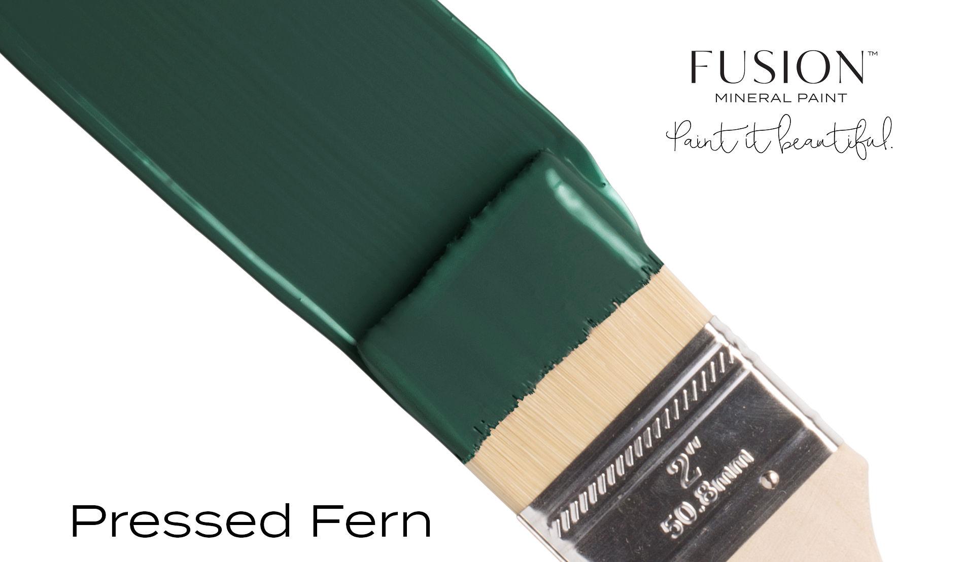 Pressed Fern