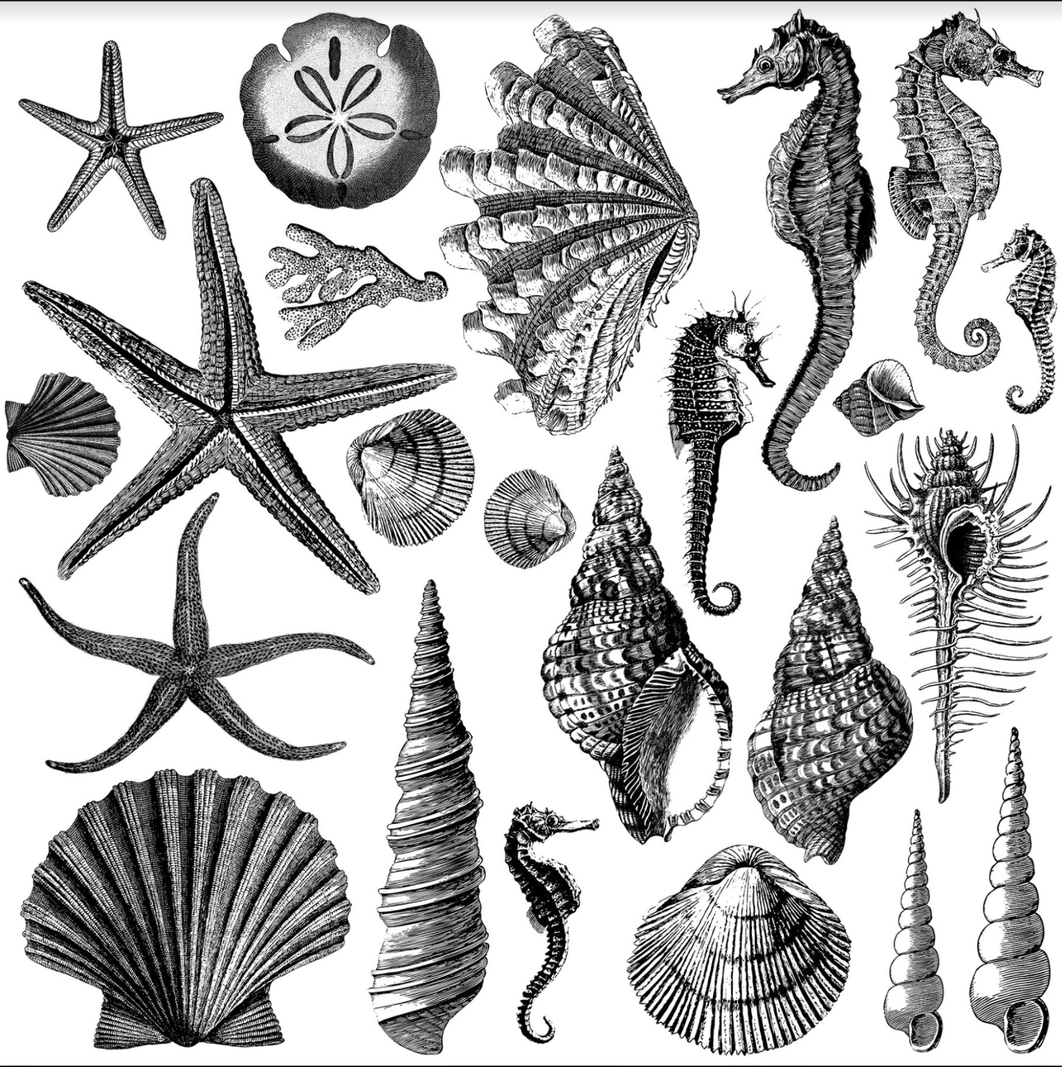 Pečiatka IOD Décor Stamp Seashore