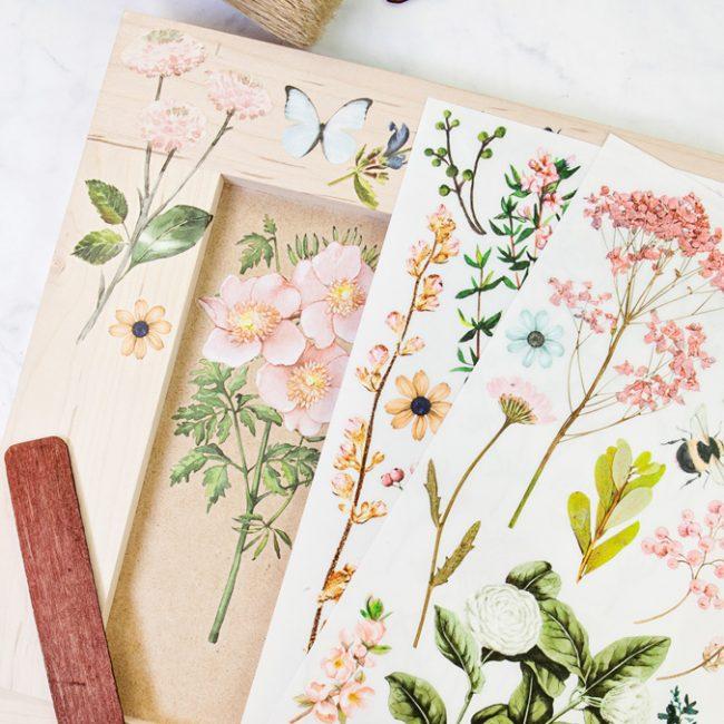 Transfer Botanical Paradise