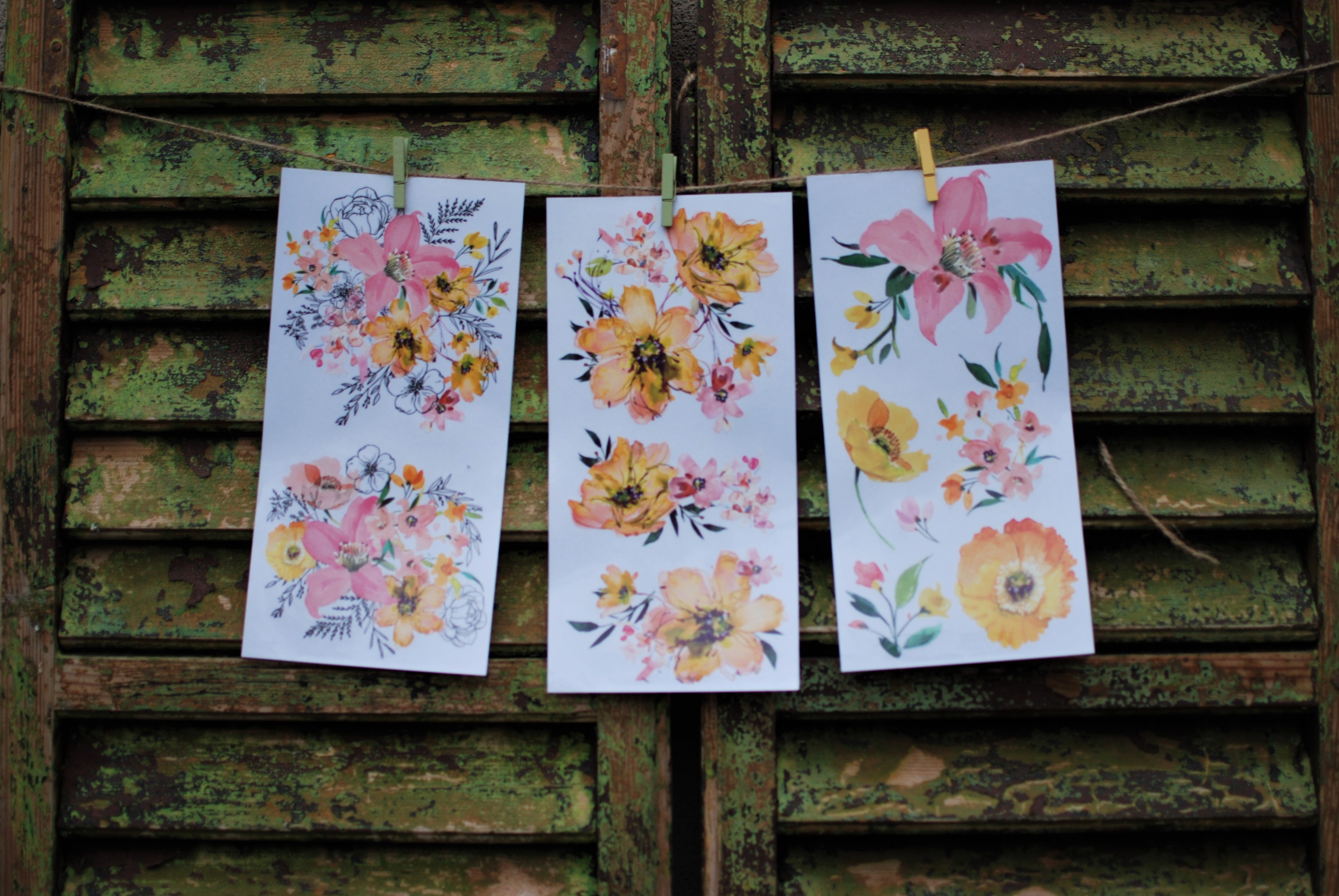 Transfer Watercolor Lush