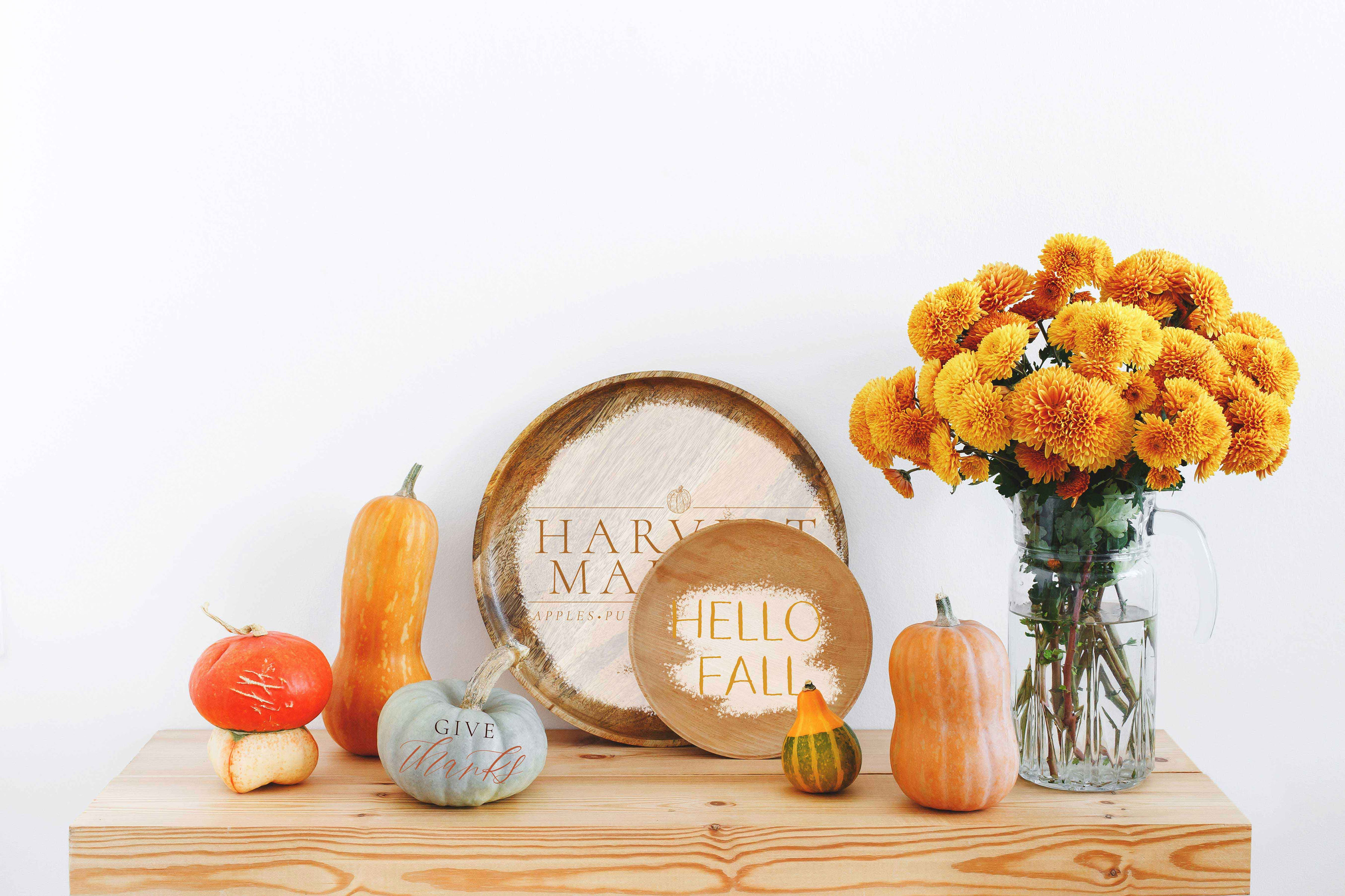 Transfer Fall Festive 
