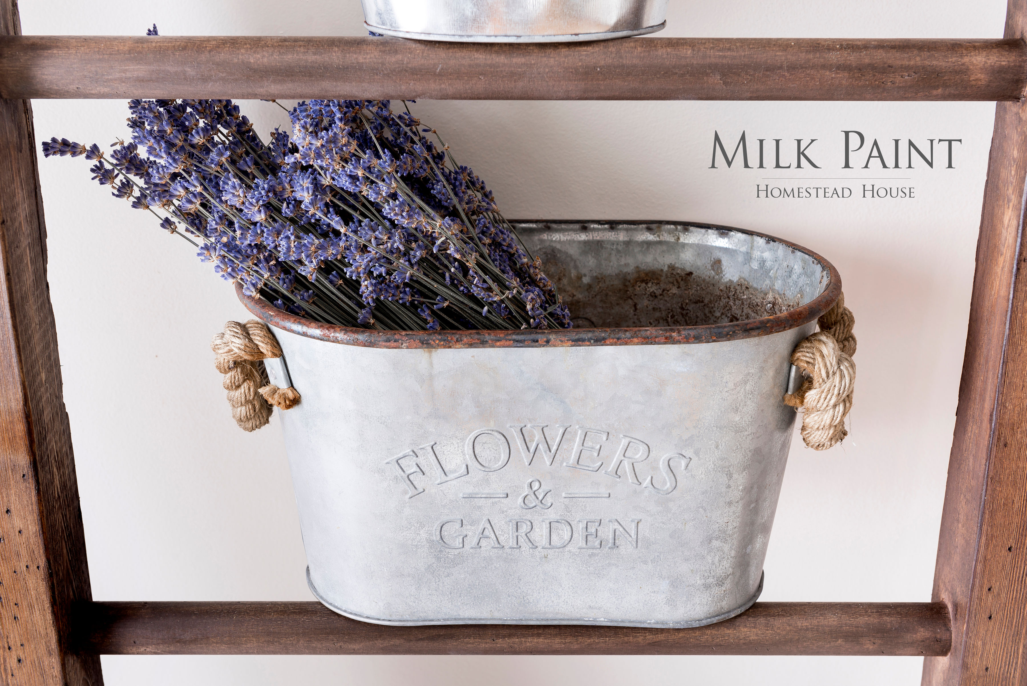Milk Paint Wood Stain - moridlo na drevo  - Sherwood Brown - 50gr 