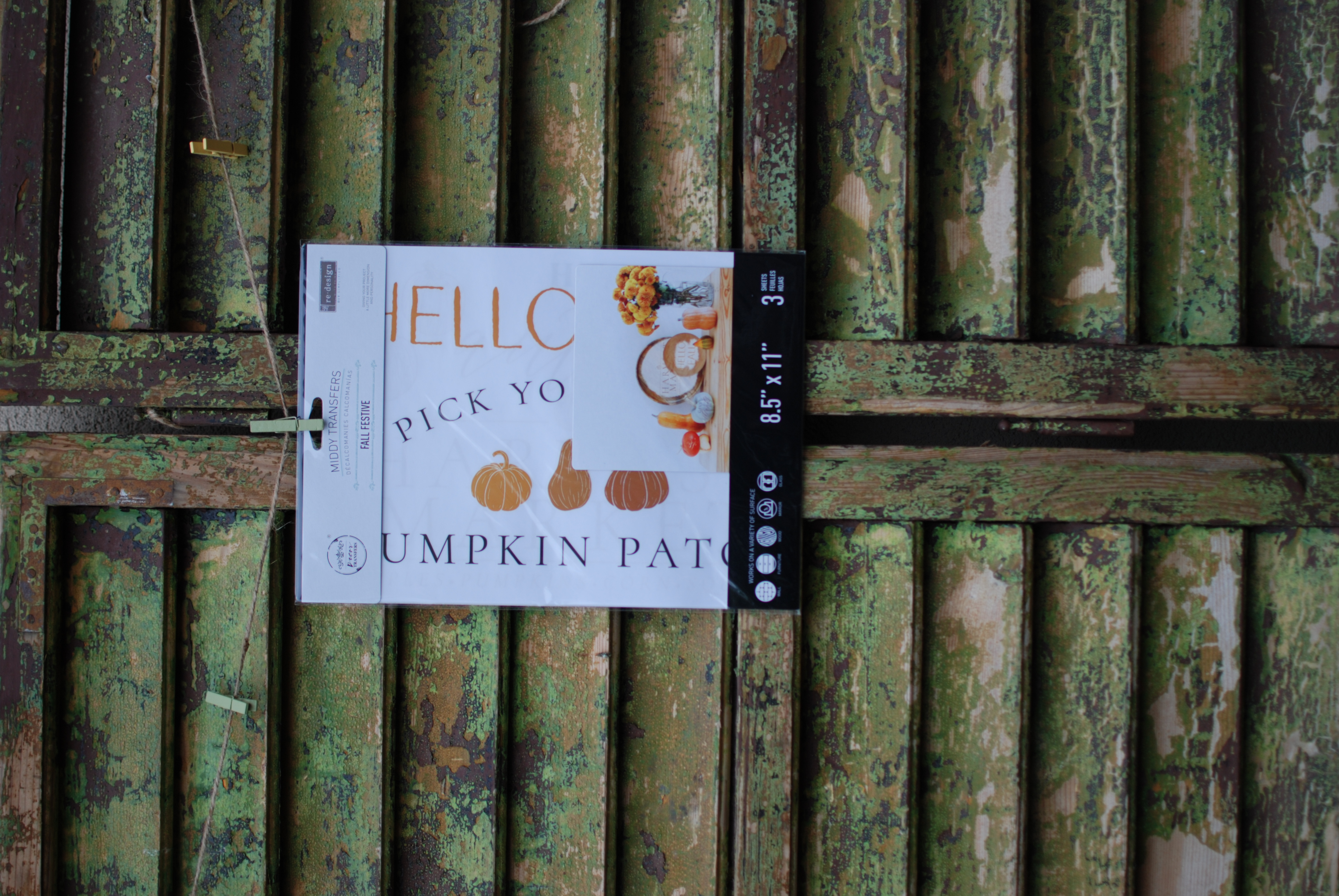 Transfer Fall Festive 