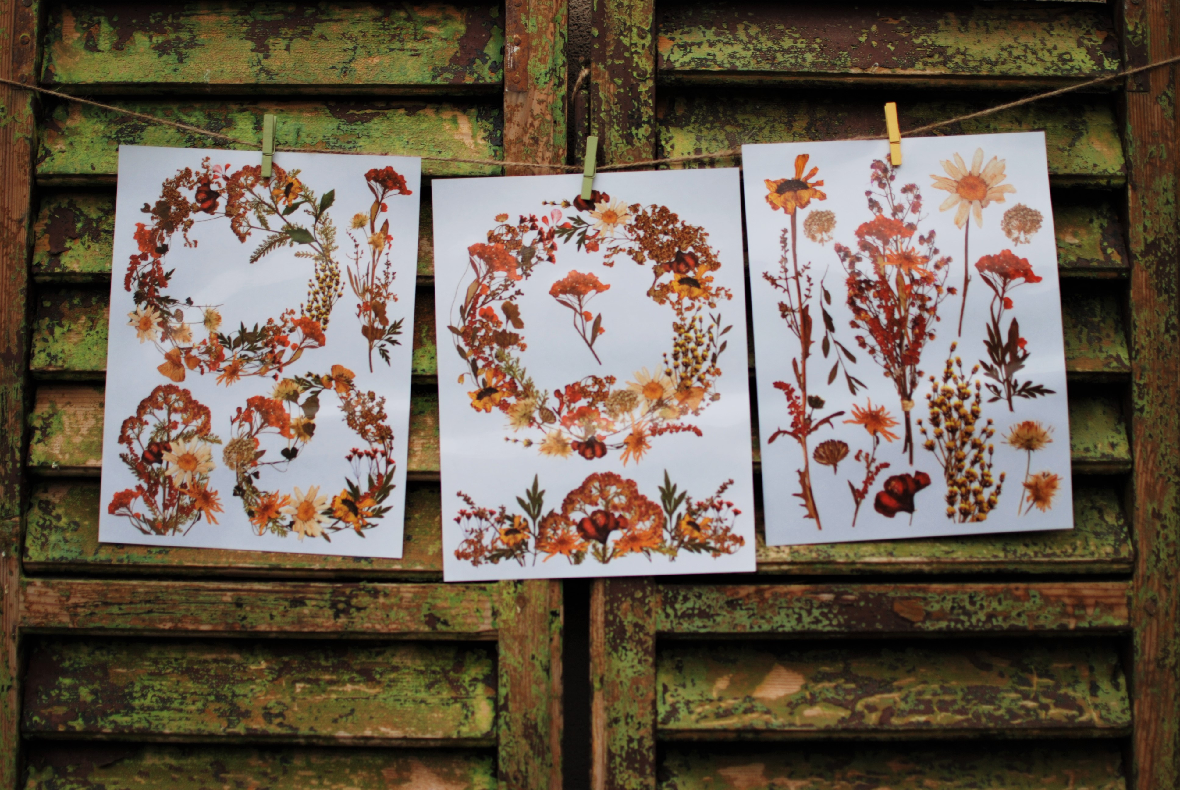 Transfer Dried Wildflowers 