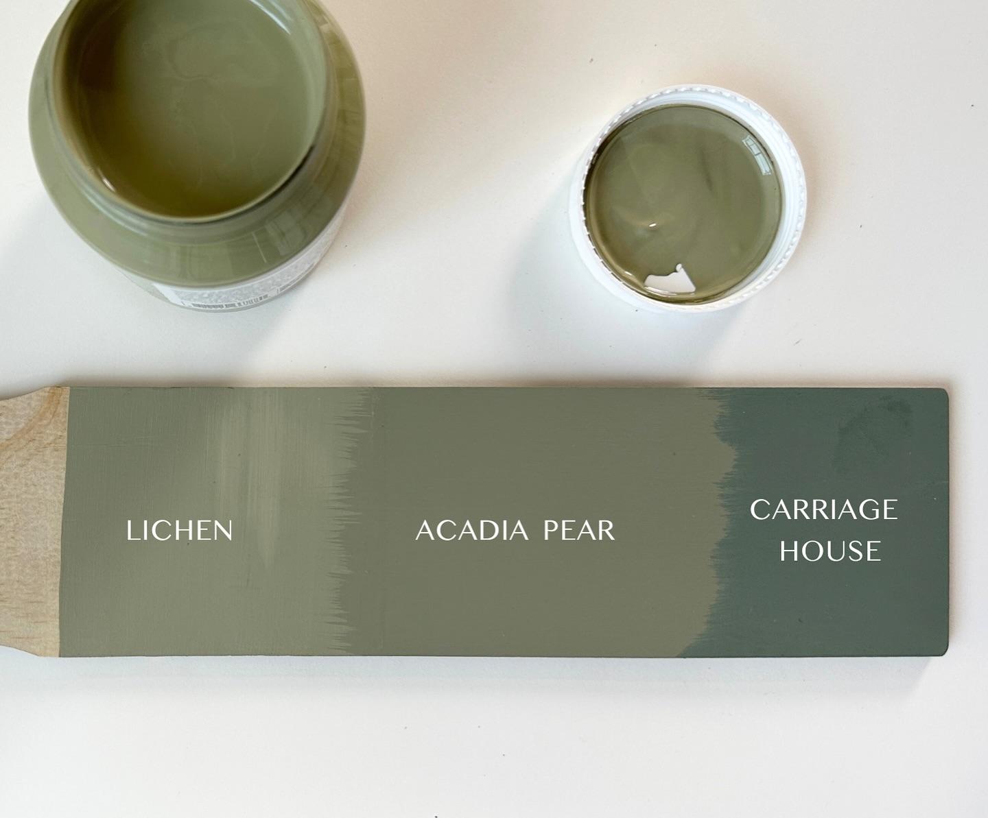 Acadia Pear