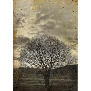 Mint by Michelle "Sepia Tree" - papier na dekupáž Sépiový strom
