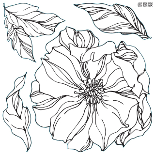 Pečiatka IOD Décor stamp Peonies