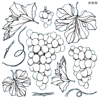 Pečiatka IOD Décor stamp Grapes