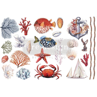 Transfer Amazing Sea Life 