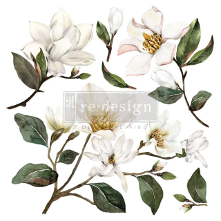 Transfer Magnolia Garden