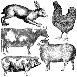 Pečiatka IOD Décor Stamp Farm Animals