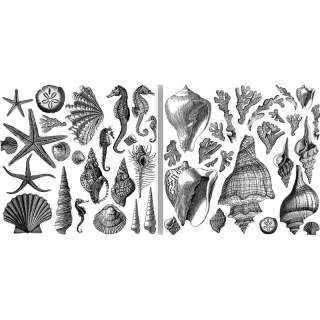 Pečiatka IOD Décor Stamp Seashore